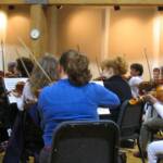 Philharmonic string section during rehersal