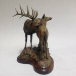 Title - Cold Springs Creek Elk
Right View