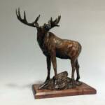 Title - Newsome Creek Bull
Medium - Bronze
Size - 14"T X 12"W X 6"D
Edition - 38
